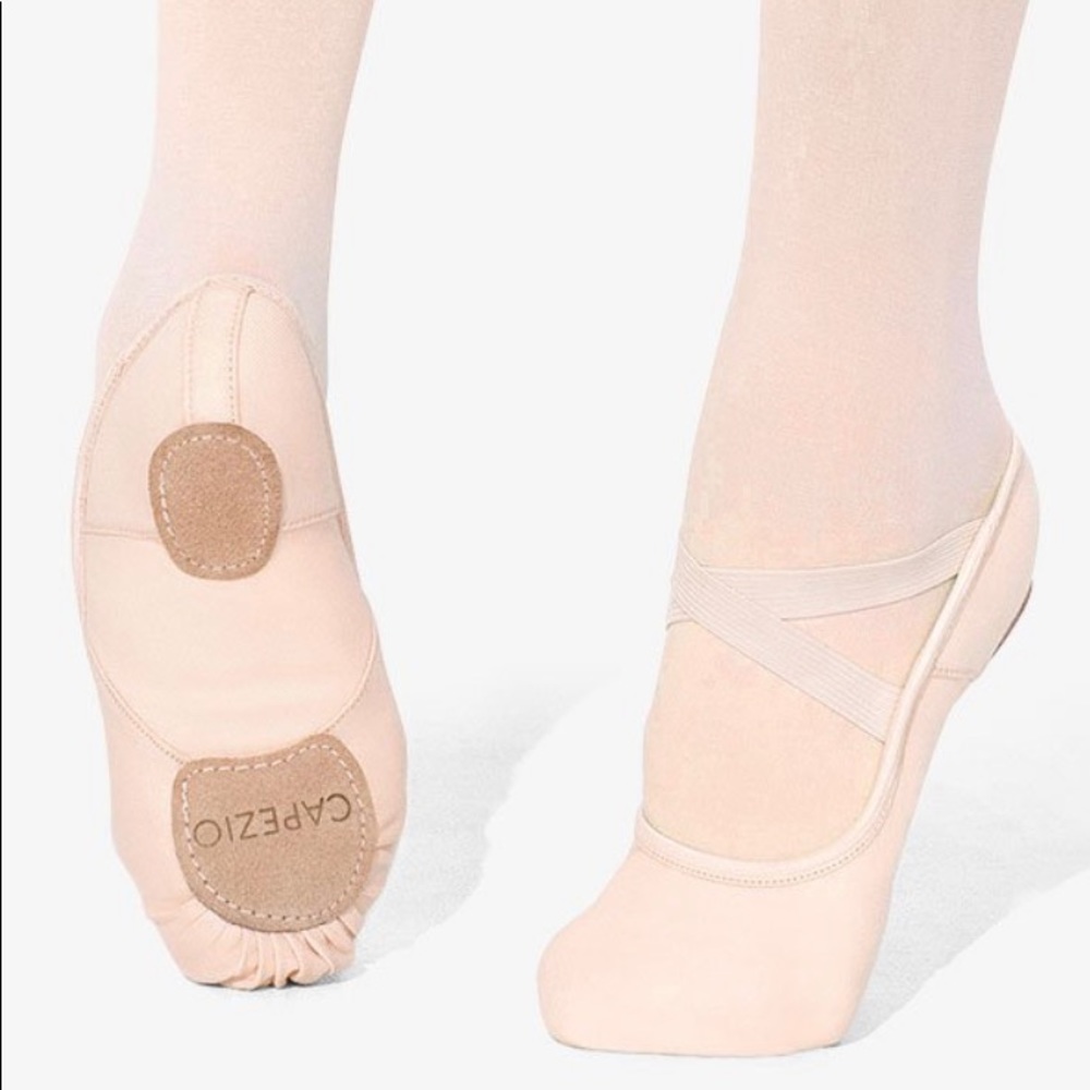 New! Hanami Canvas Ballet Slippers
